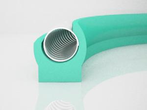 Bore Scraper Spring Energized Seal(Contamination Control Applications)