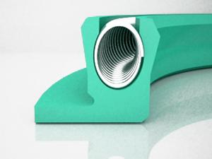 Flanged Rotary Shaft Canted Coil Spring Seal
