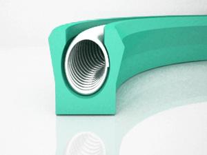 Shaft Canted Coil Spring Seal