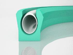Bore Canted Coil Spring Seal