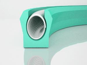 Dual-Purpose Shaft and Bore Canted Coil Spring Seal