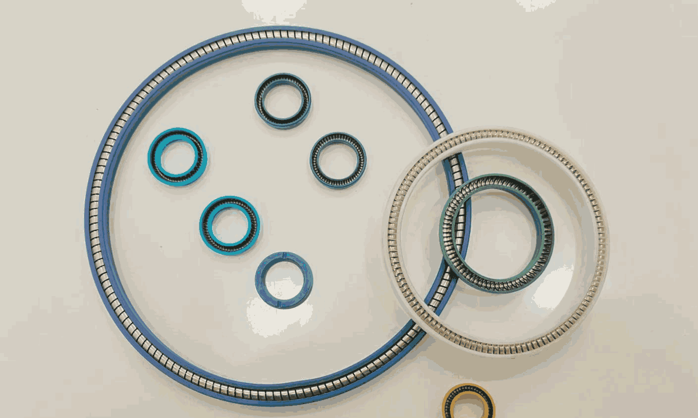Spring Energized Seals - HanSealing 