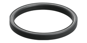 Canted Coil Spring Energizer Seal