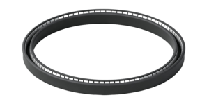 Cantilever Spring Energizer Seal