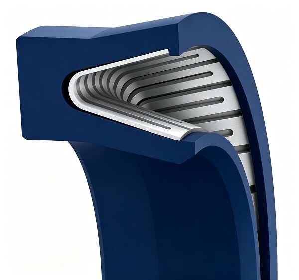 By Spring Energizer | Cantilever Spring Seals